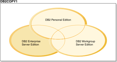 本圖顯示在相同 DB2 副本內、不同 DB2 產品之間的共用元件