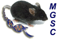 Mouse image for alternative expression microarray design