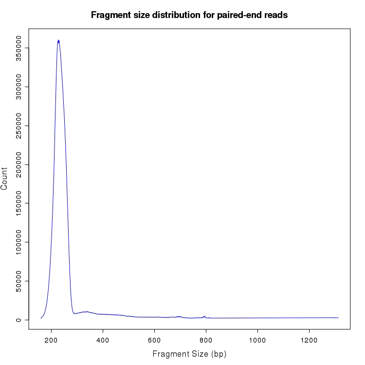 Fragment size distribution