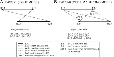 tn3.png