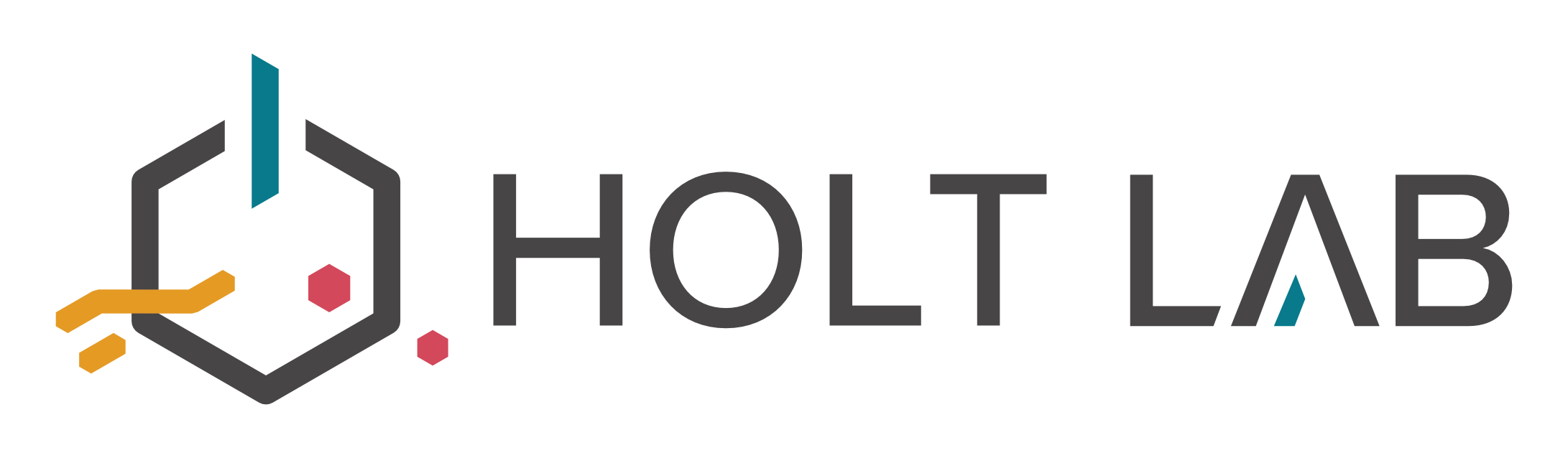 Holt Lab