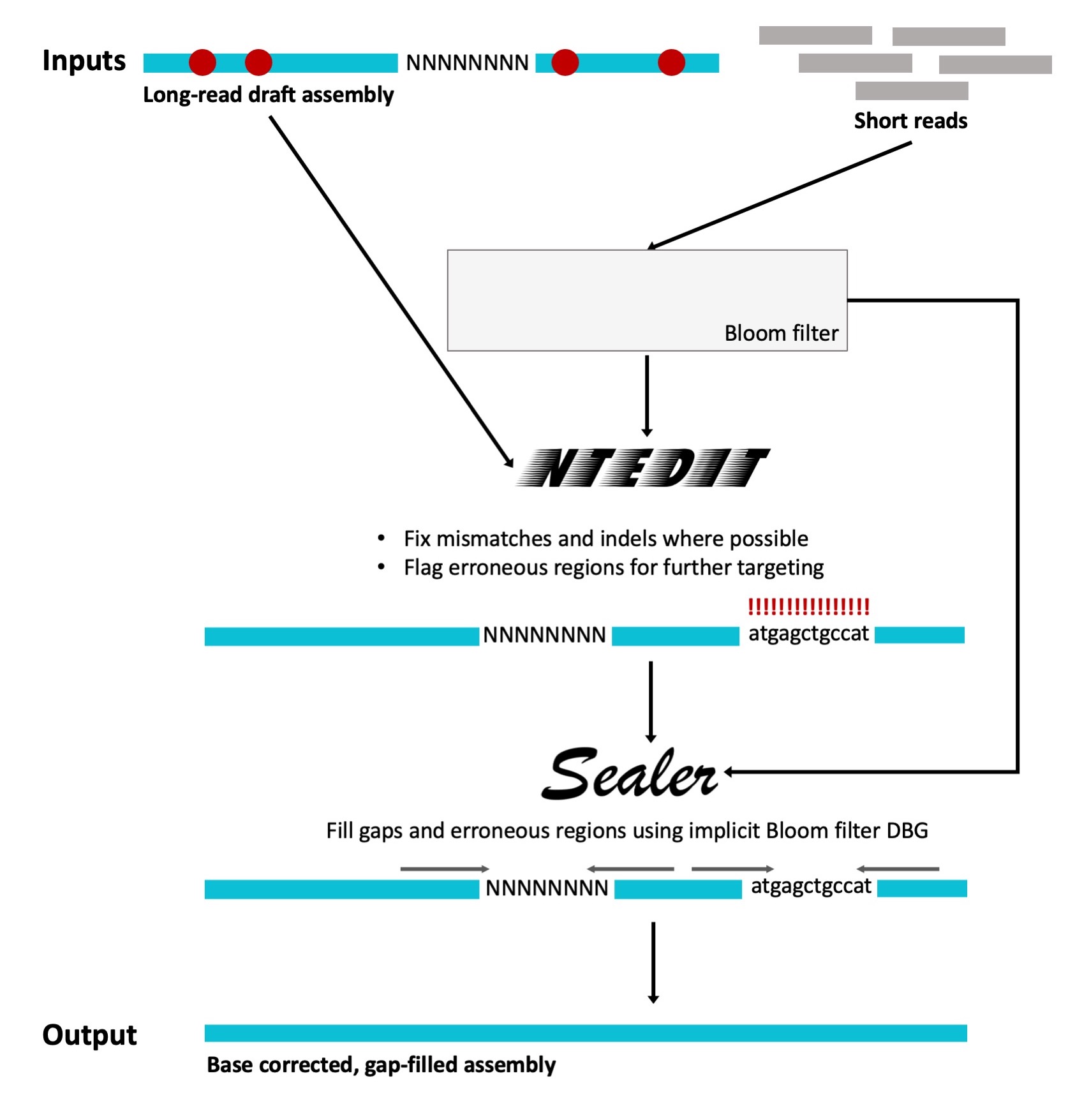 Schematic diagram of the ntEdit+Sealer pipeline