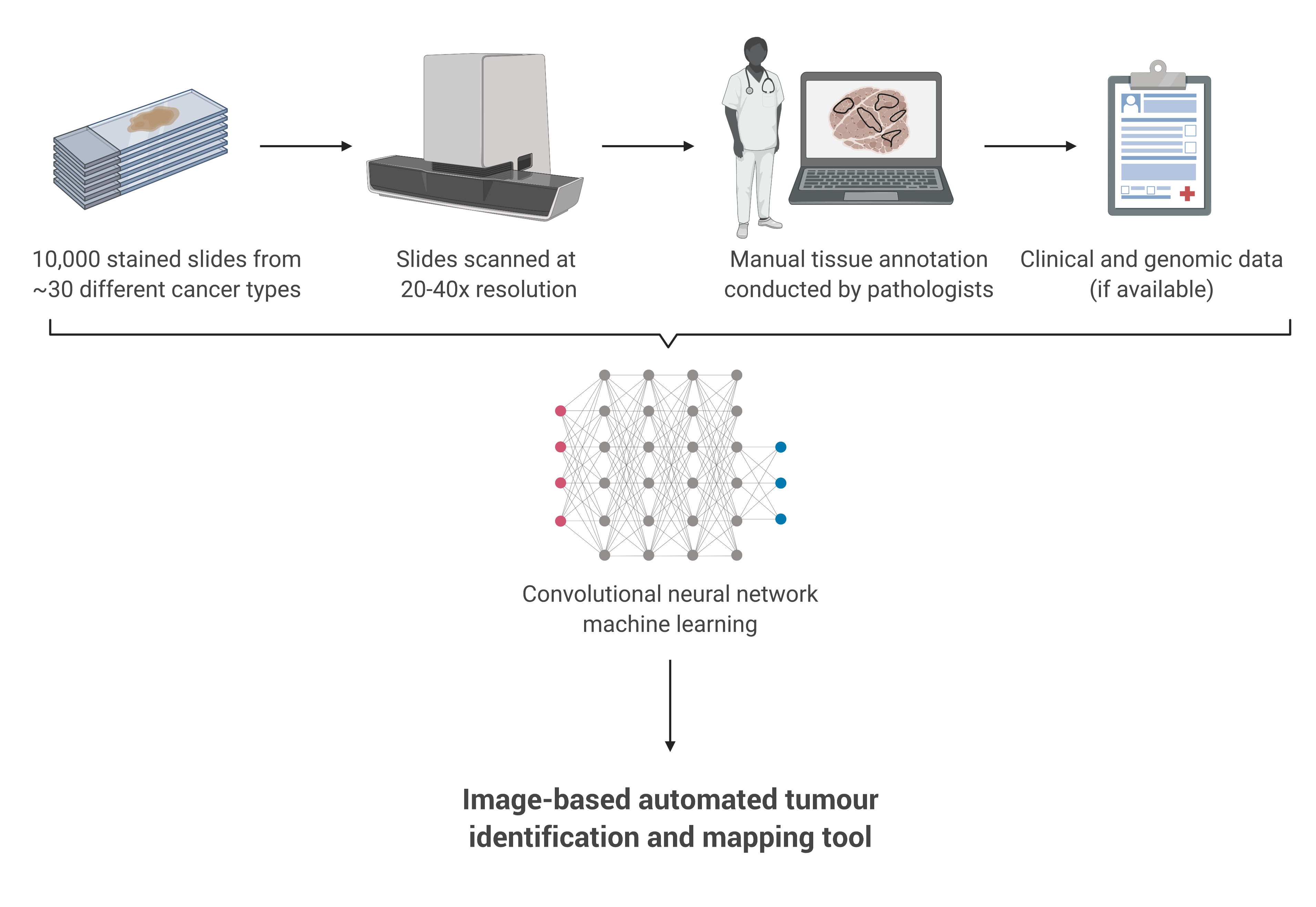 Project overview