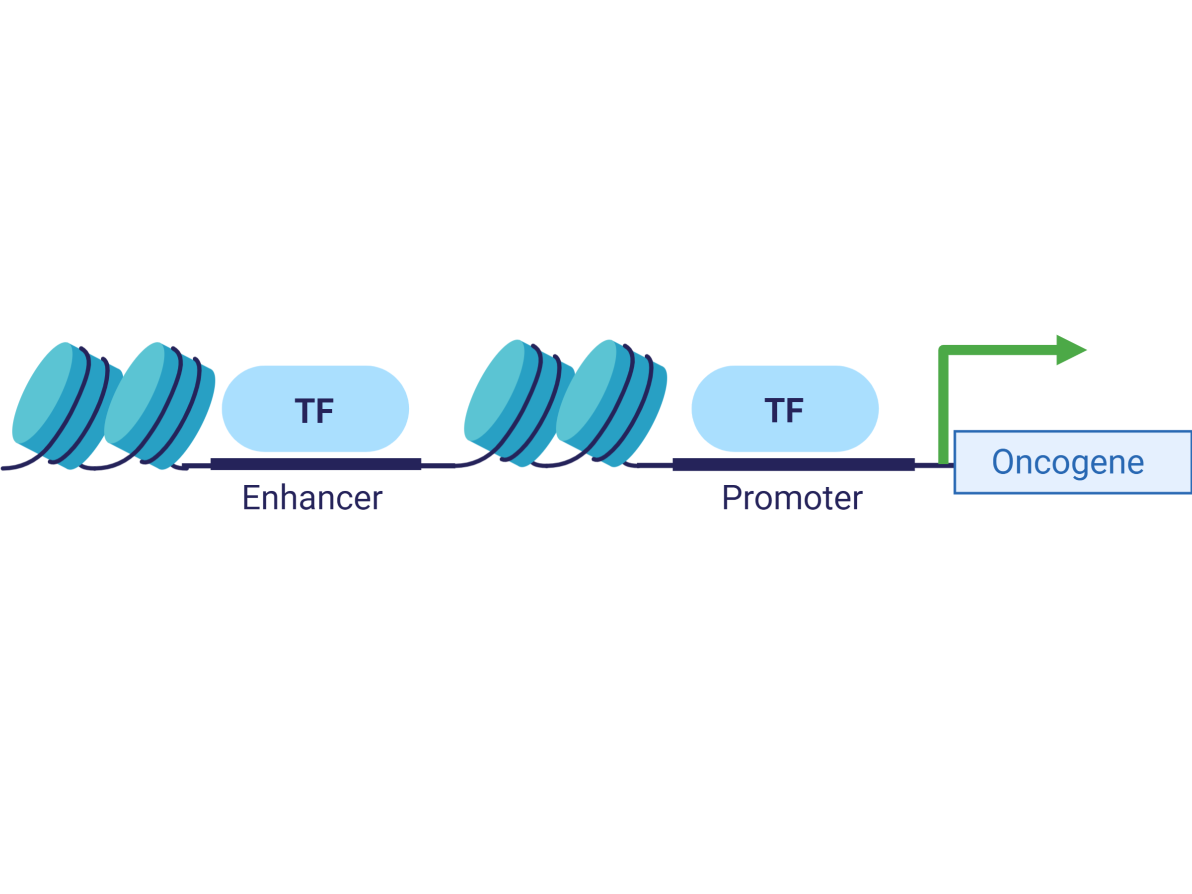 Genomes and epigenomes