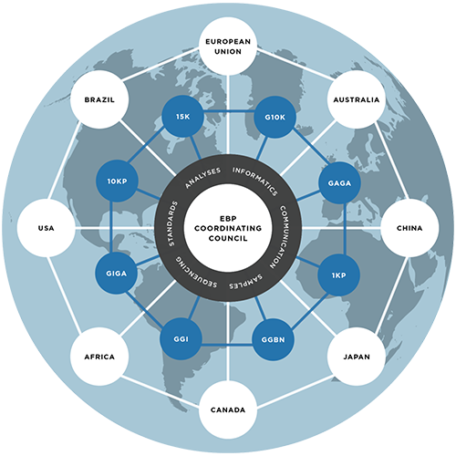 Earth BioGenome Collaborators