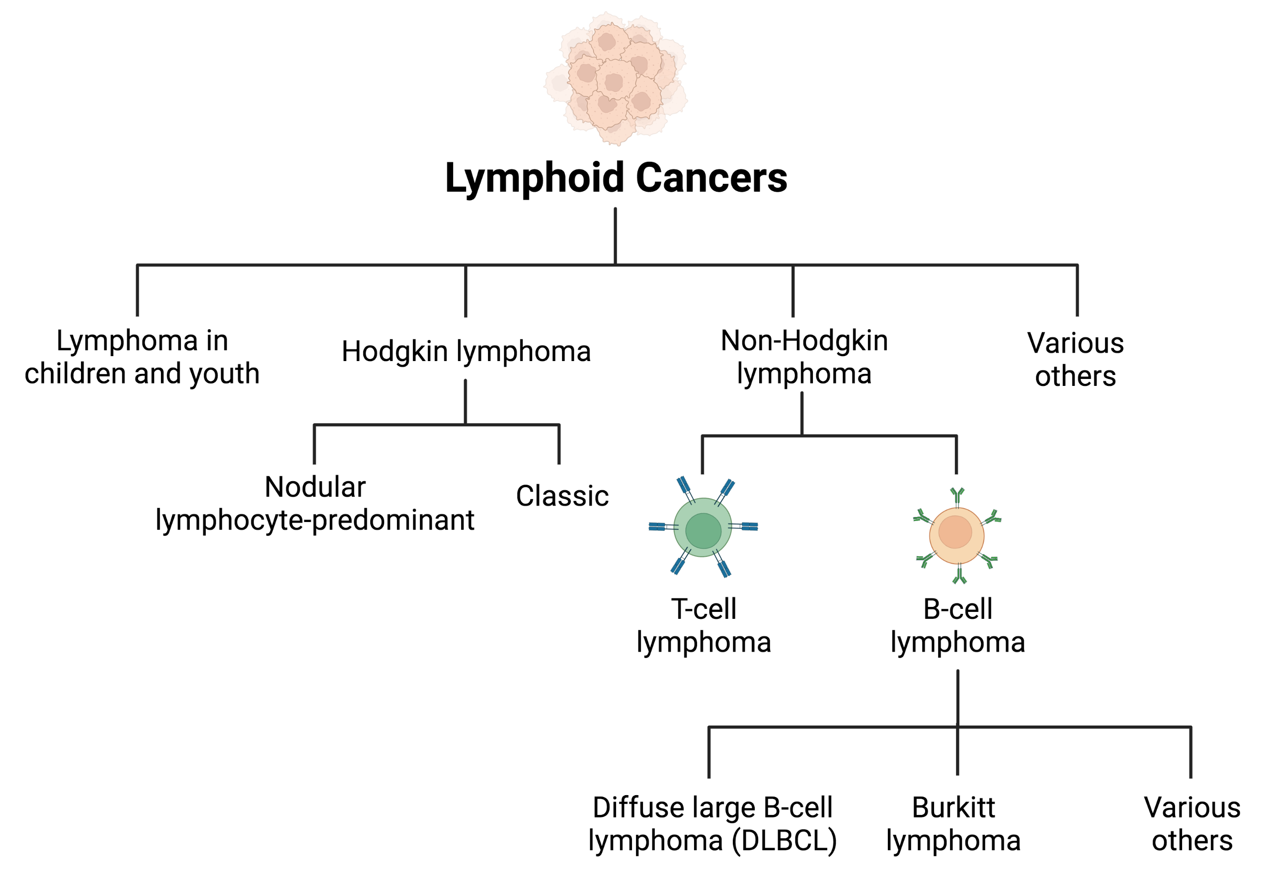 Types of lymphoma